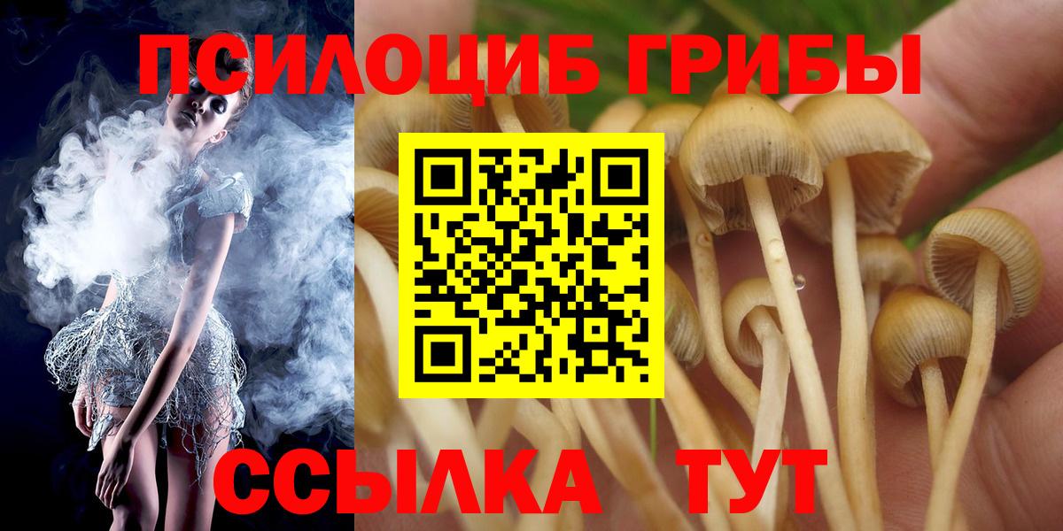 Ачхой-Мартан  Галлюциногенные грибы прущие грибы  Вход с VPN 