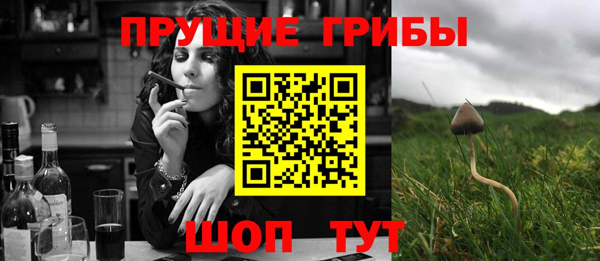 Псилоцибиновые грибы GOLDEN TEACHER Ачхой-Мартан
